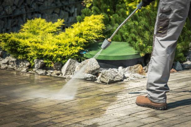 Best Parking Lot Cleaning in New Market, VA