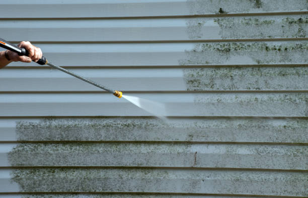 Best Building Exterior Pressure Washing in New Market, VA